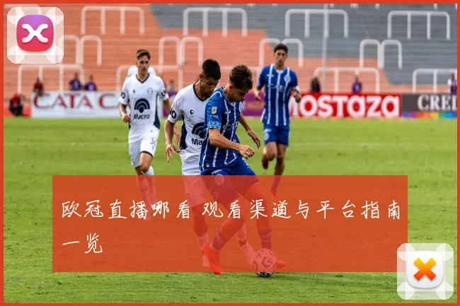 欧冠直播哪看 观看渠道与平台指南一览