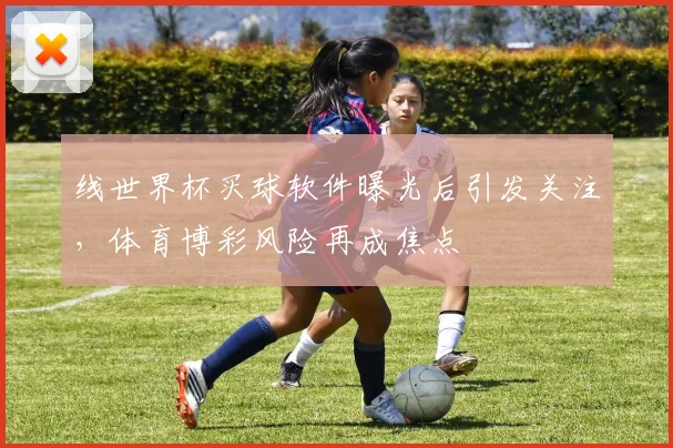 线世界杯买球软件曝光后引发关注，体育博彩风险再成焦点