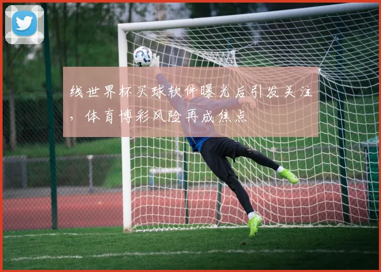 线世界杯买球软件曝光后引发关注，体育博彩风险再成焦点